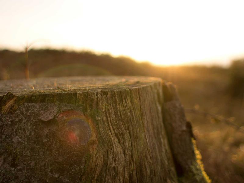 sudoku logical deduction